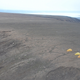 Image for article titled Global warming could awaken the Arctic's ancient forests